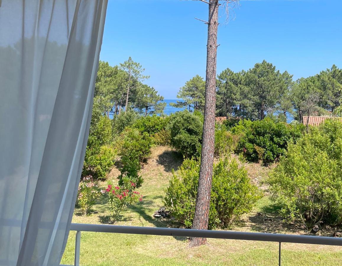 Domaine De Pianiccia Apartment ฟาโวเน ภายนอก รูปภาพ